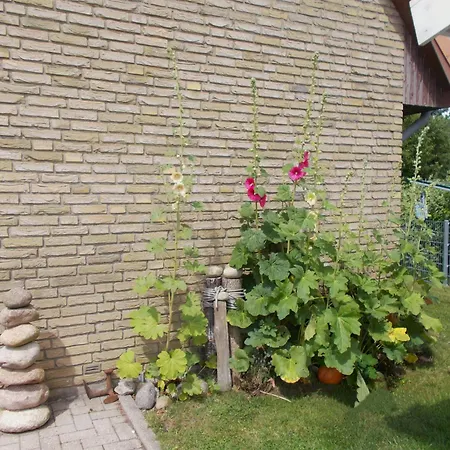 Ruthenberg In Kronsgaard- Gemuetliche Ferienwohnungen, 1700m Vom Ostseestrand Entfernt Kronsgaard